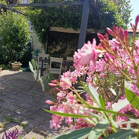 Avela 6 - Giardino E Mare - Vacanze Sul Serio Ρίμινι